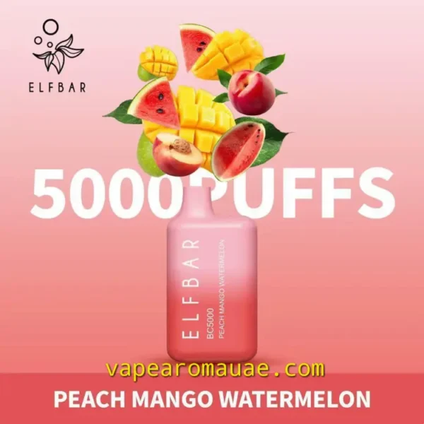 5000 Puffs Disposable Vape Elf Bar Peach Mango Watermelon- Kit