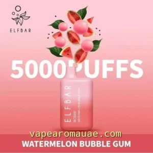 Elf Bar Disposable Pod BC5000 Puffs Watermelon Bubble Gum- Kit