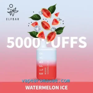 Rechargeable Disposable Vape Elf Bar 5000 Puffs Watermelon Ice