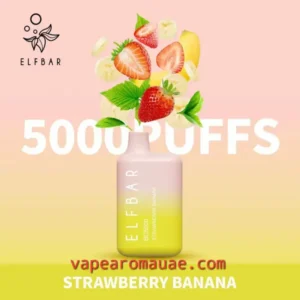 Best Disposable Vape ElfBar 5000 Puffs Strawberry Banana Pod kit