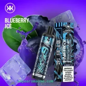 KK 5000 Puffs Disposable Vape Blueberry ice | Pod Kit Device