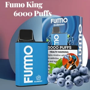 Fumo King Blueberry 6000 Puffs 2% Vape Kit - Fummo Dubai