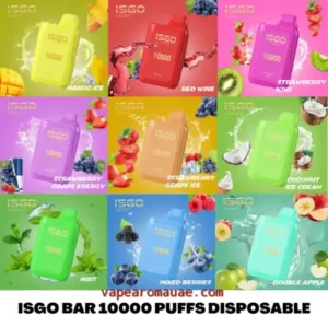 ISGO BAR 10000 Puffs Disposable Vape Kit in Dubai- Best Flavors