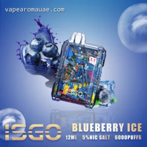 ISGO Blueberry Ice 6000 Puffs Disposable Vape Bar Kit- Best Price