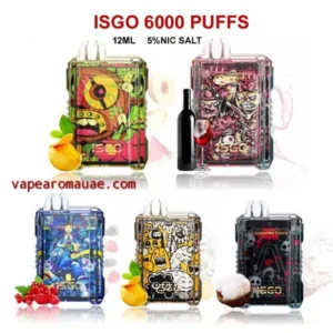 ISGO 6000 Puffs Disposable Vape Bar in Dubai- Savory Pod Kit