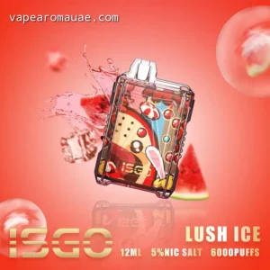 ISGO Lush Ice 6000 Puffs Rechargeable Disposable Vape- Dubai