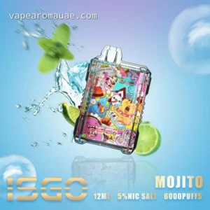 ISGO 6000 Puffs Mojito Flavor Disposable Vape Pod- Drum Box Kit