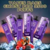 Vapes Bars Mixed Berry Menthol Ghost Pro 3500 Puffs Vape Kit