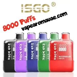 ISGO 8000 Puffs Disposable Vape New York Addition- Best Bar Kit