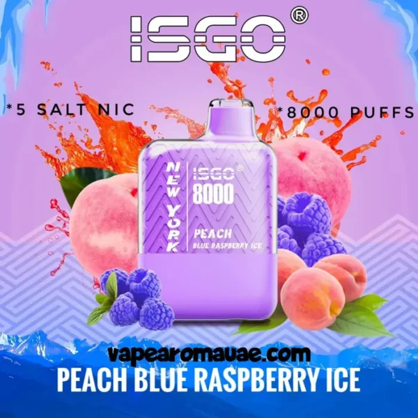 ISGO 8000 Puffs Disposable Vape New York Addition- Best Bar Kit