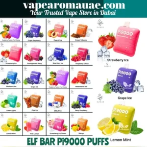 New Elf Bar Pi9000 disposable vape in Dubai UAE- Best 9000 puffs