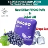 New Elf Bar Pi9000 disposable vape in Dubai UAE- Best 9000 puffs