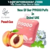 New Elf Bar Pi9000 disposable vape in Dubai UAE- Best 9000 puffs