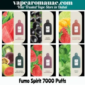 Fumo Spirit 7000 Puffs Disposable Vape in Dubai | FUMMO 7000