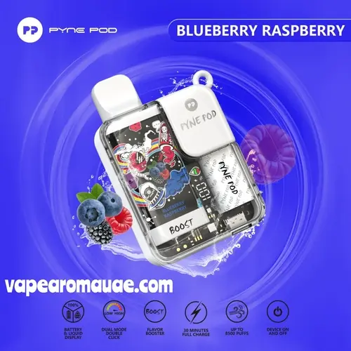 Pyne Pod 8500 Puffs Disposable Vape in Dubai | Vape Aroma UAE