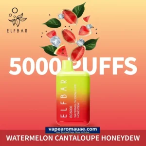 Elf Bar Watermelon Cantaloupe Honeydew 5000 Puffs Disposable