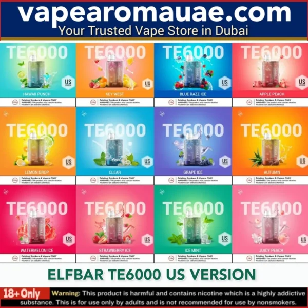 Best Elfbar TE6000 puffs disposable vape- Dubai UAE | US Version