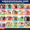 VAAL EP4500 Disposable Vape- Rechargeable 4500 Puffs in Dubai