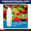 VAAL EP4500 Disposable Vape- Rechargeable 4500 Puffs in Dubai