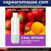 VAAL EP4500 Disposable Vape- Rechargeable 4500 Puffs in Dubai