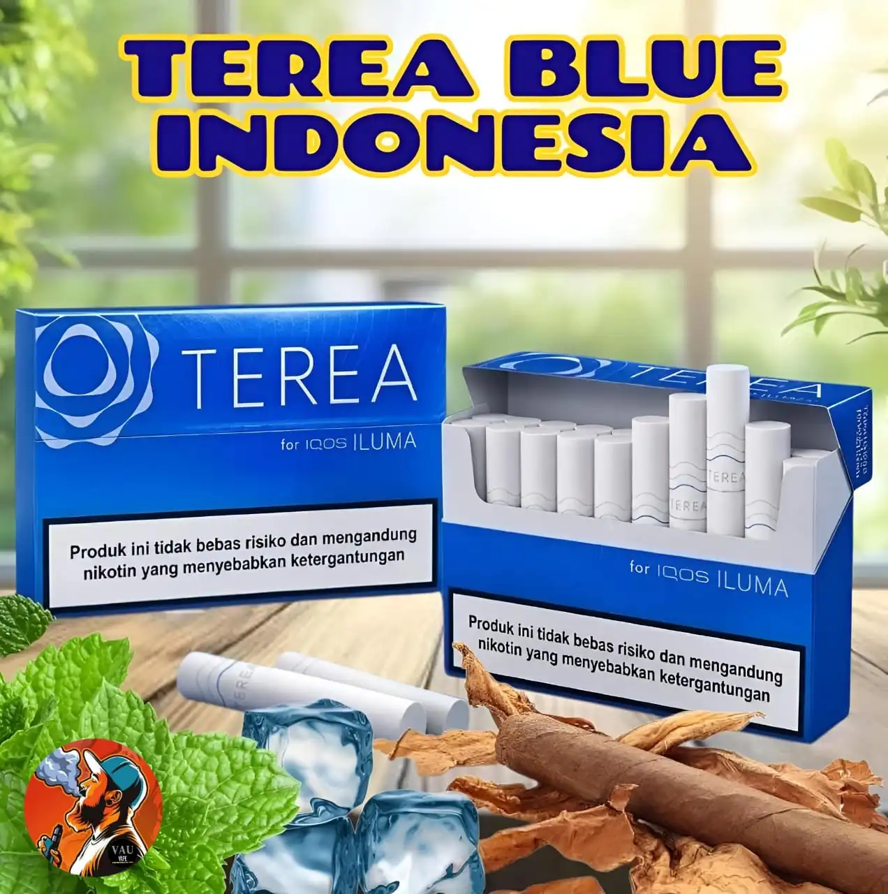 IQOS Terea Blue Indonesian | 10 Packs Box Indonesia - Dubai