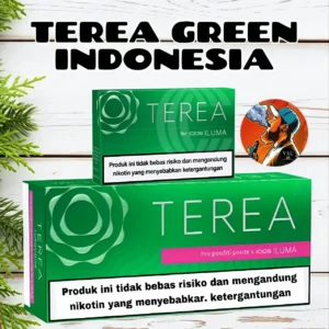 IQOS Terea Green Indonesian Version in Dubai UAE