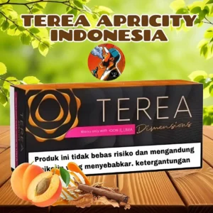 Terea Apricity Dimensions Indonesia in Dubai - Indonesian