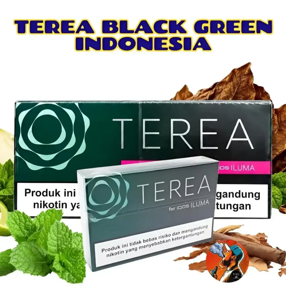 Terea Black Green Indonesian Addition | IQOS Iluma - Dubai