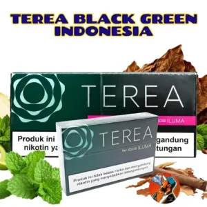 Terea Black Green Indonesian Addition | IQOS Iluma - Dubai