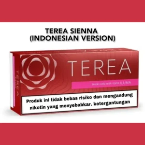 Heets Terea Sienna Indonesian Version in Dubai UAE- for ILUMA