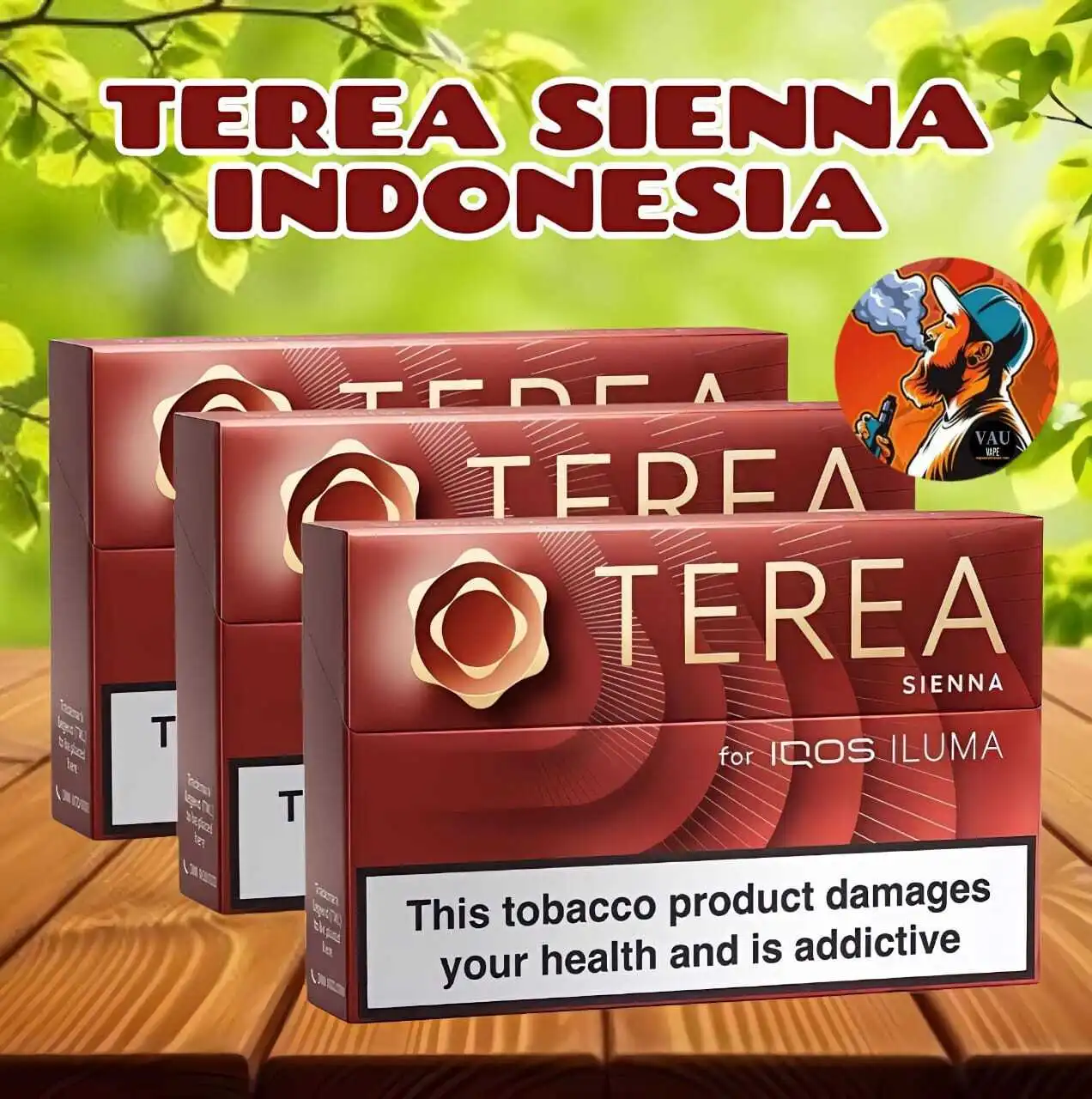Terea Sienna Indonesian Version for IQOS ILUMA - Dubai UAE