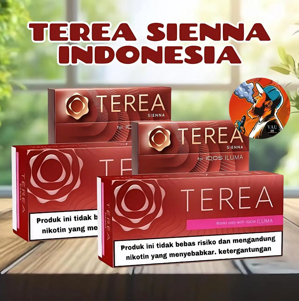 Terea Sienna Indonesian Version for IQOS ILUMA - Dubai UAE