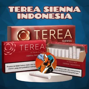 Terea Sienna Indonesian Version for IQOS ILUMA - Dubai UAE