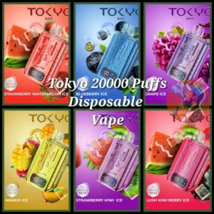 Tokyo Bar 20000 Puffs Disposable Vape 10 Flavors 50MG- Dubai