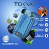 Tokyo Bar 20000 Puffs Disposable Vape 10 Flavors 50MG- Dubai