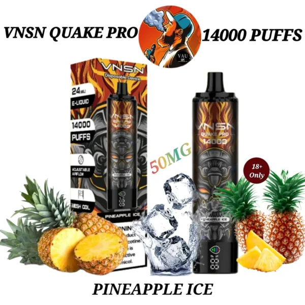 VNSN Pineapple Ice 14000 Puffs 50MG Disposable Vape - Dubai