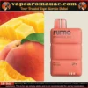 FUMMO Magnum 8000 Puffs 2% Disposable Vape 20MG - Fumo