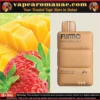 FUMMO Magnum 8000 Puffs 2% Disposable Vape 20MG - Fumo