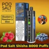Pod Salt Shisha 8000 Puffs DTL Disposable Vape - Dubai UAE