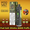 Pod Salt Shisha 8000 Puffs DTL Disposable Vape - Dubai UAE