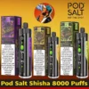 Pod Salt Shisha 8000 Puffs DTL Disposable Vape - Dubai UAE