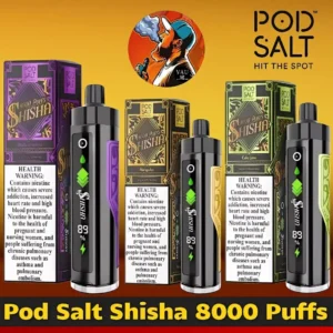 Pod Salt Shisha 8000 Puffs DTL Disposable Vape - Dubai UAE