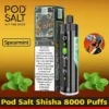 Pod Salt Shisha 8000 Puffs DTL Disposable Vape - Dubai UAE