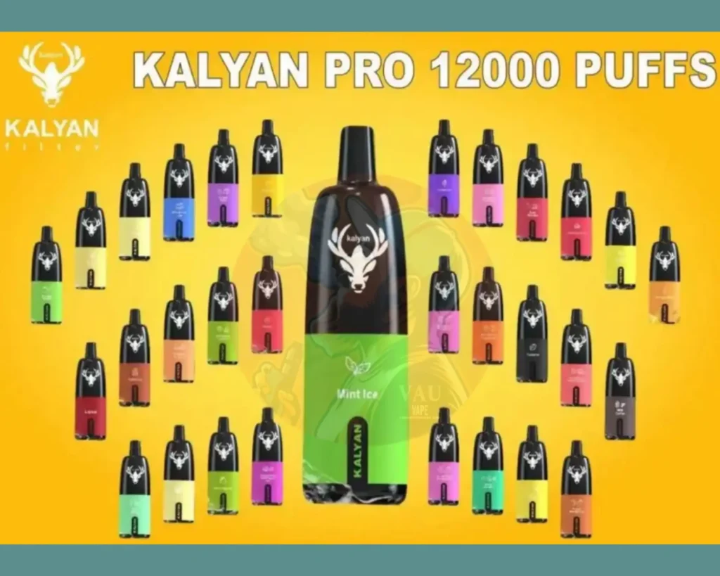 Best Kalyan Pro 12000 Puffs Disposable Vape in Dubai UAE