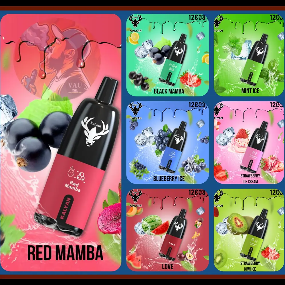 Best Kalyan Pro 12000 Puffs Disposable Vape in Dubai UAE
