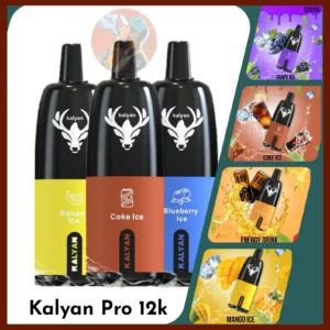 Best Kalyan Pro 12000 Puffs Disposable Vape in Dubai UAE
