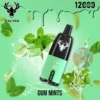 Best Kalyan Pro 12000 Puffs Disposable Vape in Dubai UAE