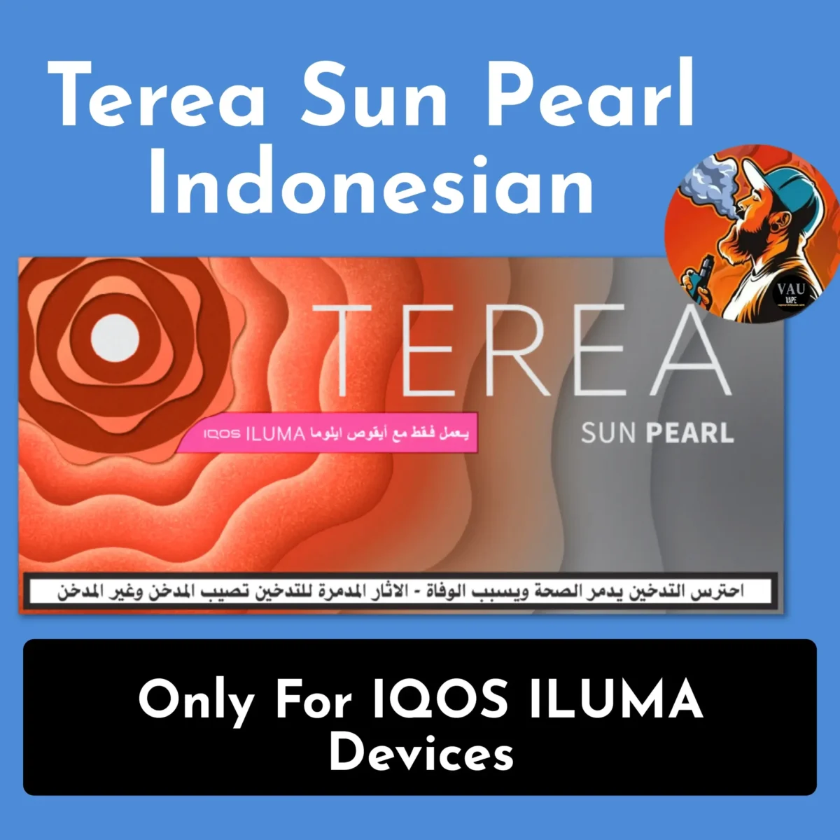 Best Terea Sun Pearl Indonesian for IQOS ILUMA in Dubai UAE