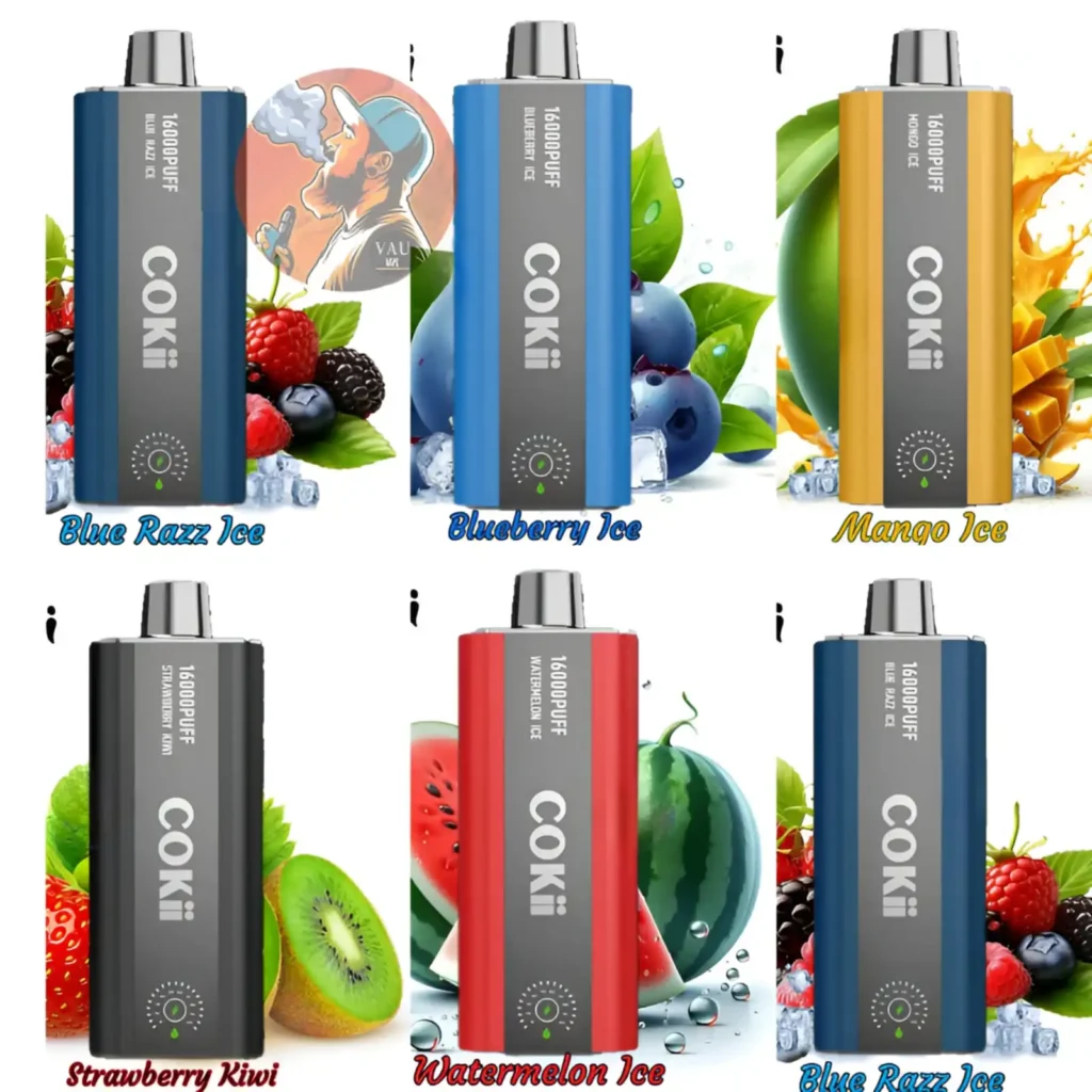 Cokii Zero Nicotine 16000 Puffs Disposable Vape 16k - Dubai UAE