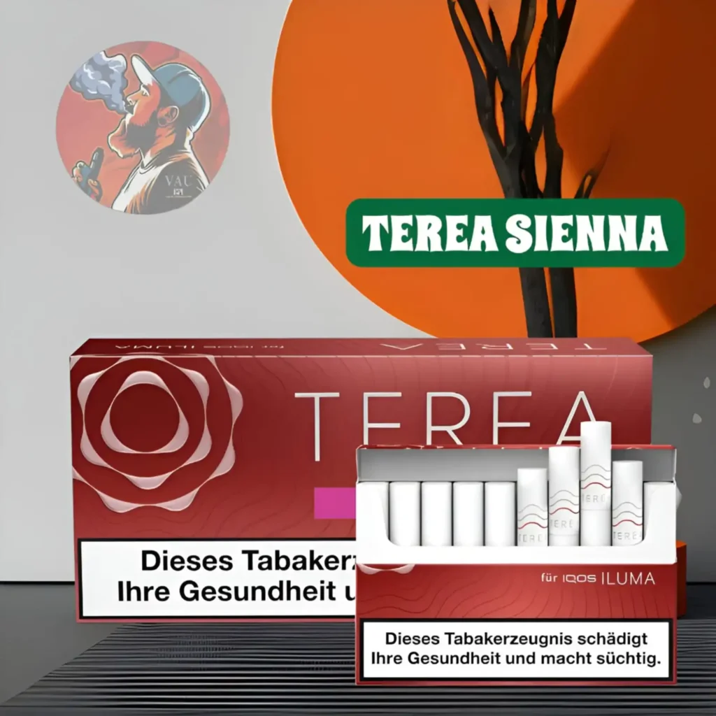 Terea Sienna Flavor for Iqos Iluma Heat-Not-Burn Kits Dubai